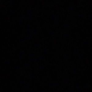 Meet your Posher, Lainey